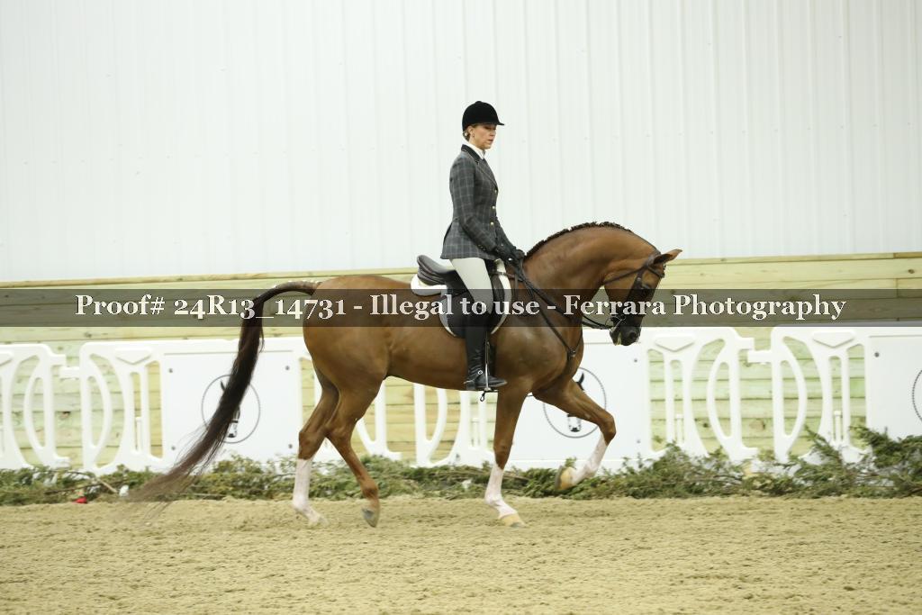 Proof Number 24R13_14731