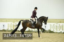 24R13_14736 thumbnail