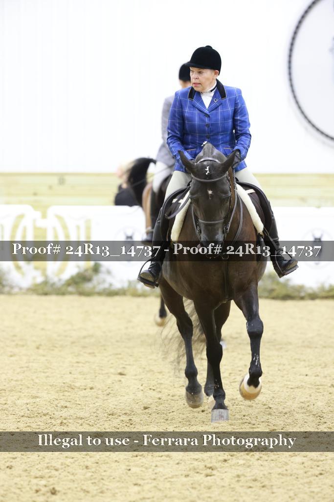 Proof Number 24R13_14737