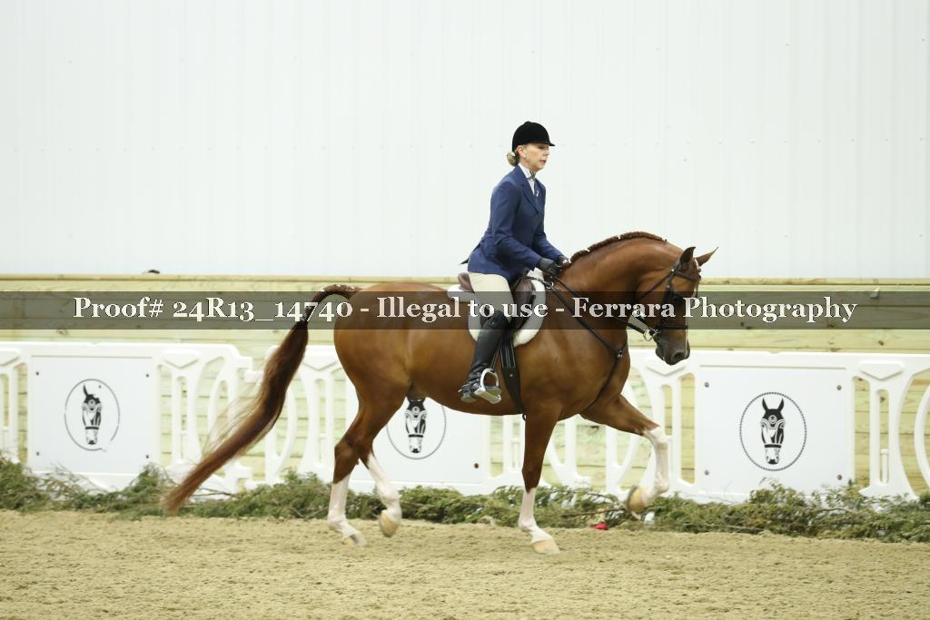 Proof Number 24R13_14740