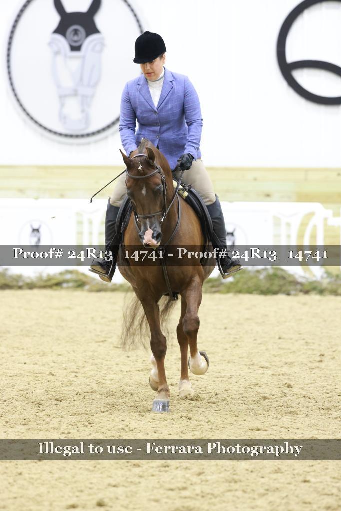 Proof Number 24R13_14741