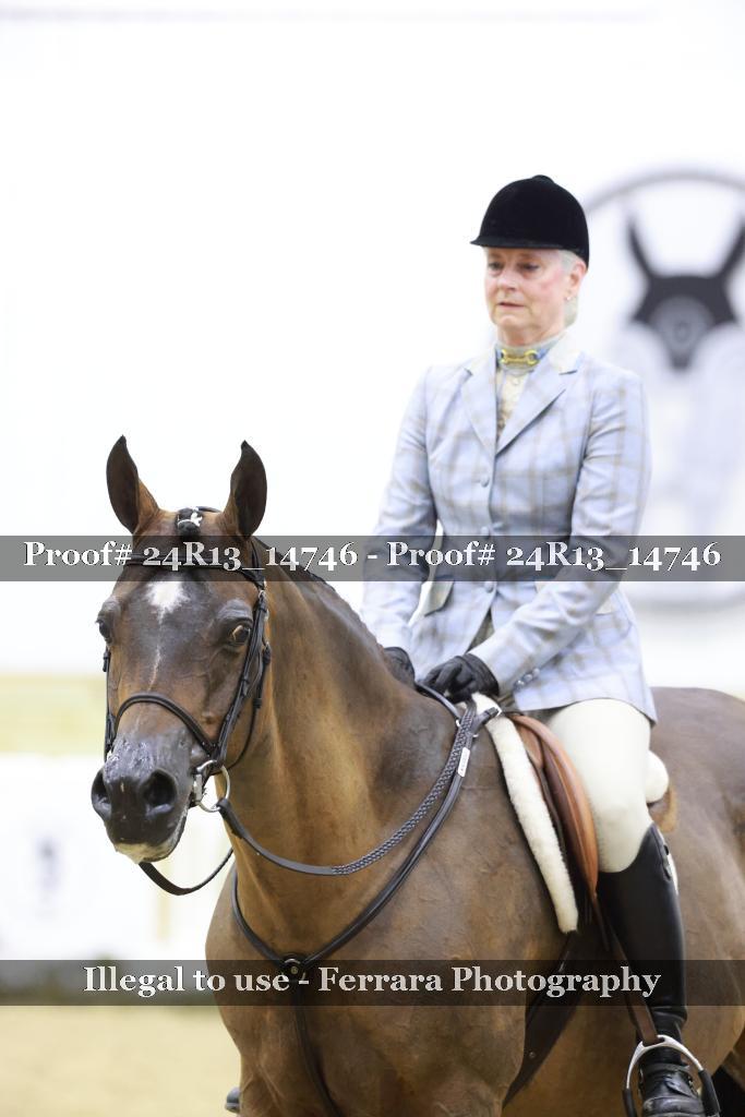Proof Number 24R13_14746
