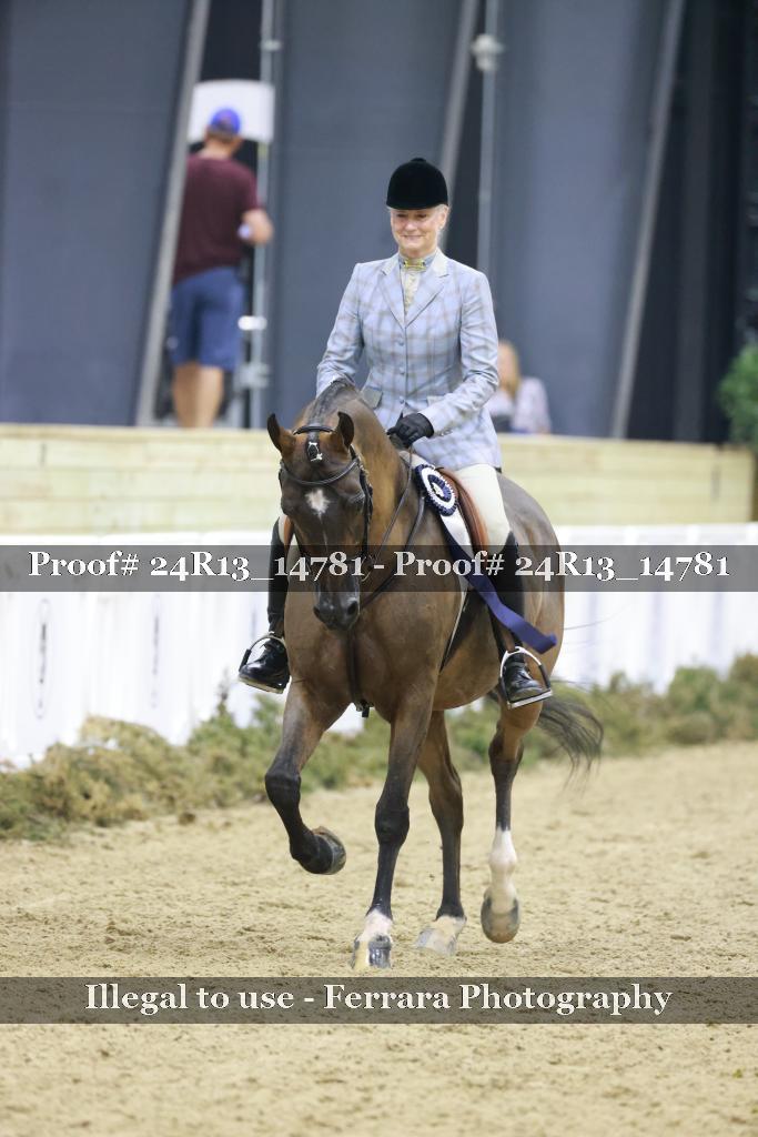 Proof Number 24R13_14781
