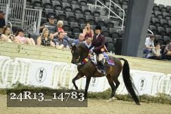 24R13_14783 thumbnail