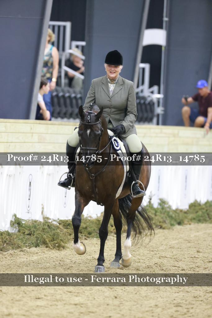 Proof Number 24R13_14785