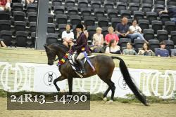 24R13_14790 thumbnail