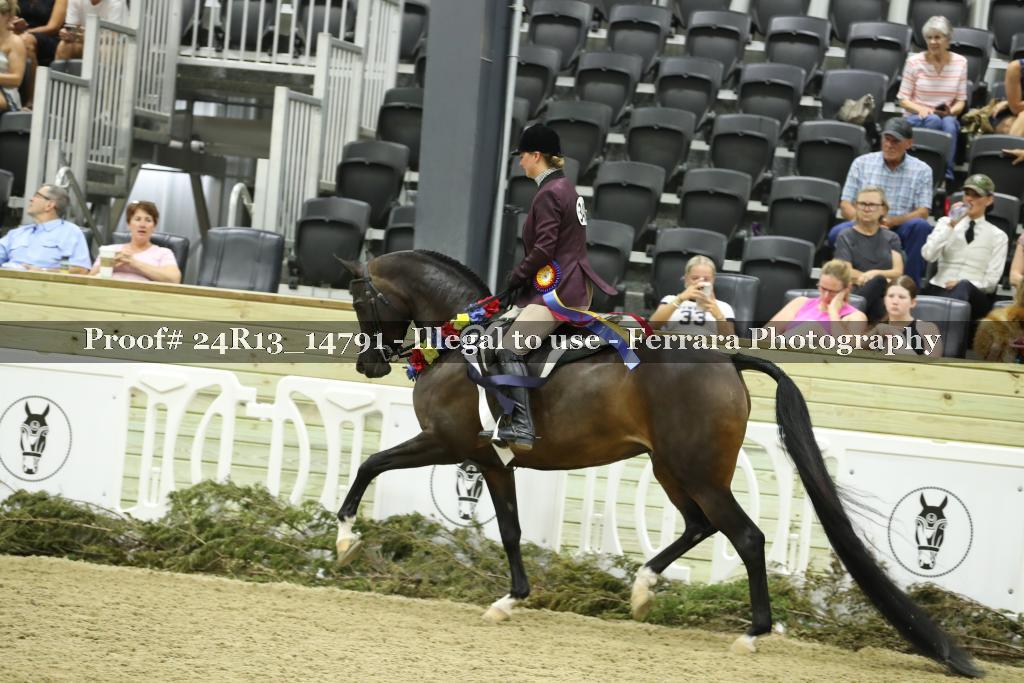 Proof Number 24R13_14791