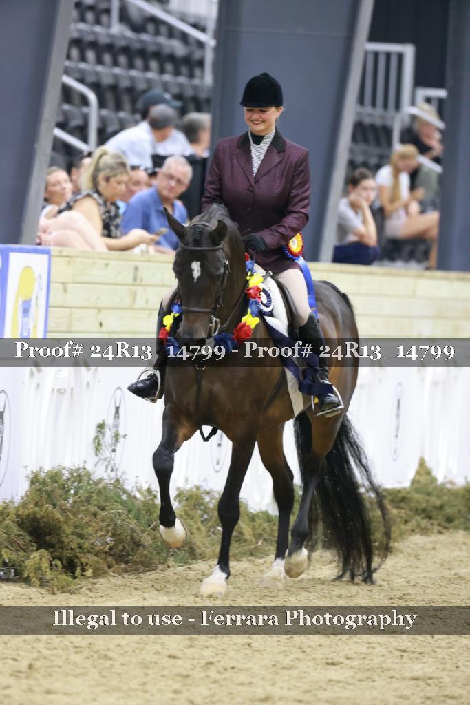 Proof Number 24R13_14799