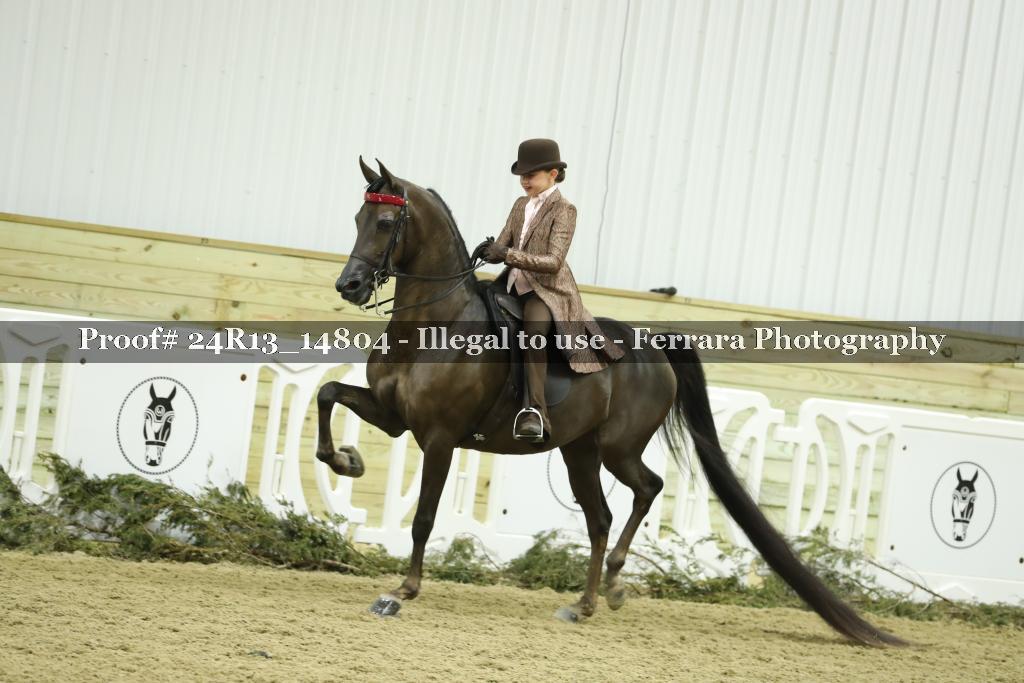Proof Number 24R13_14804