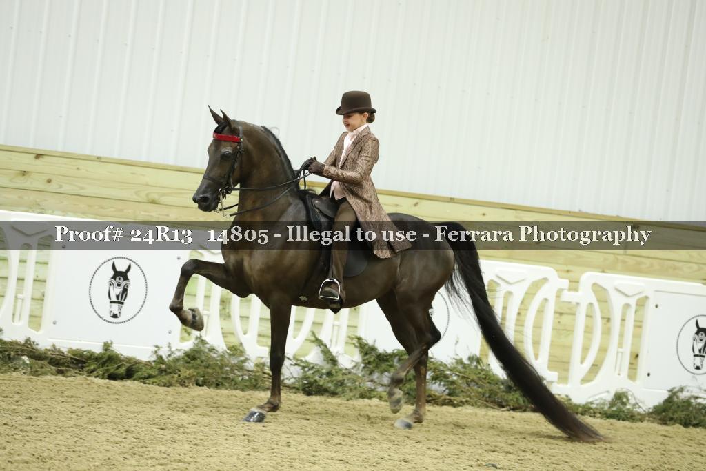 Proof Number 24R13_14805