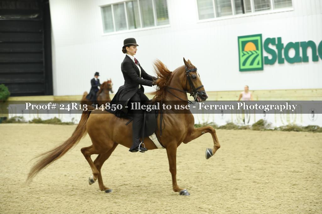 Proof Number 24R13_14850