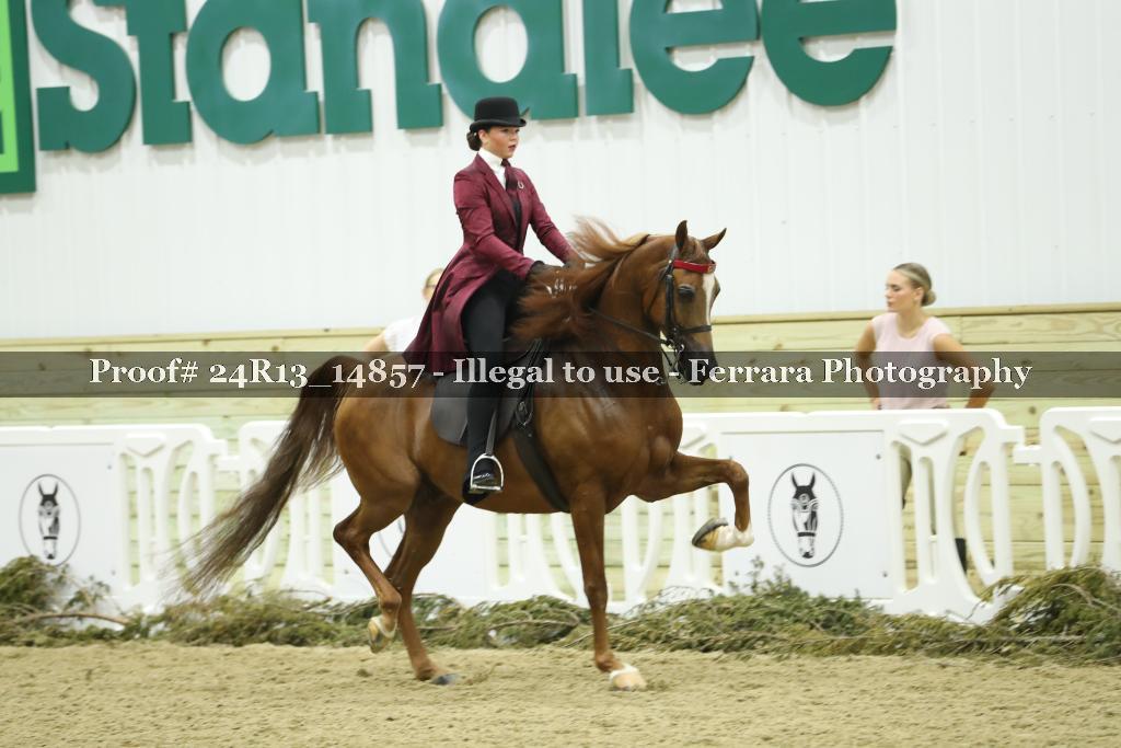 Proof Number 24R13_14857