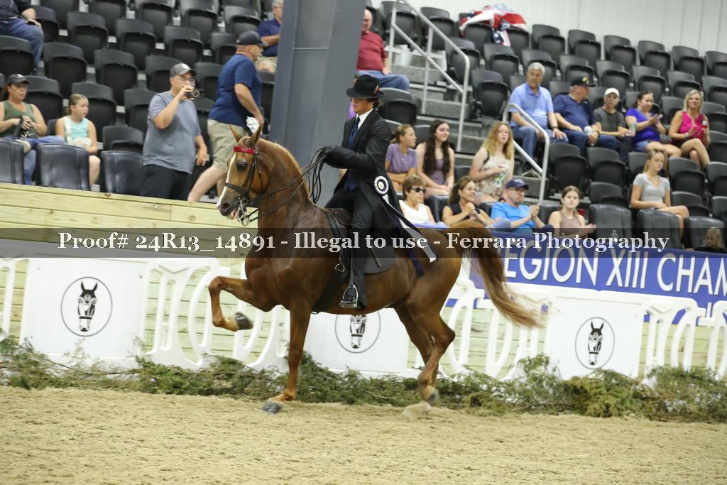 Proof Number 24R13_14891