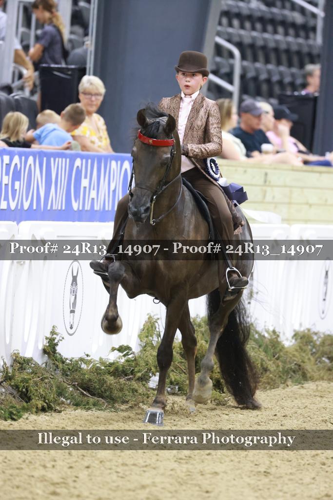 Proof Number 24R13_14907
