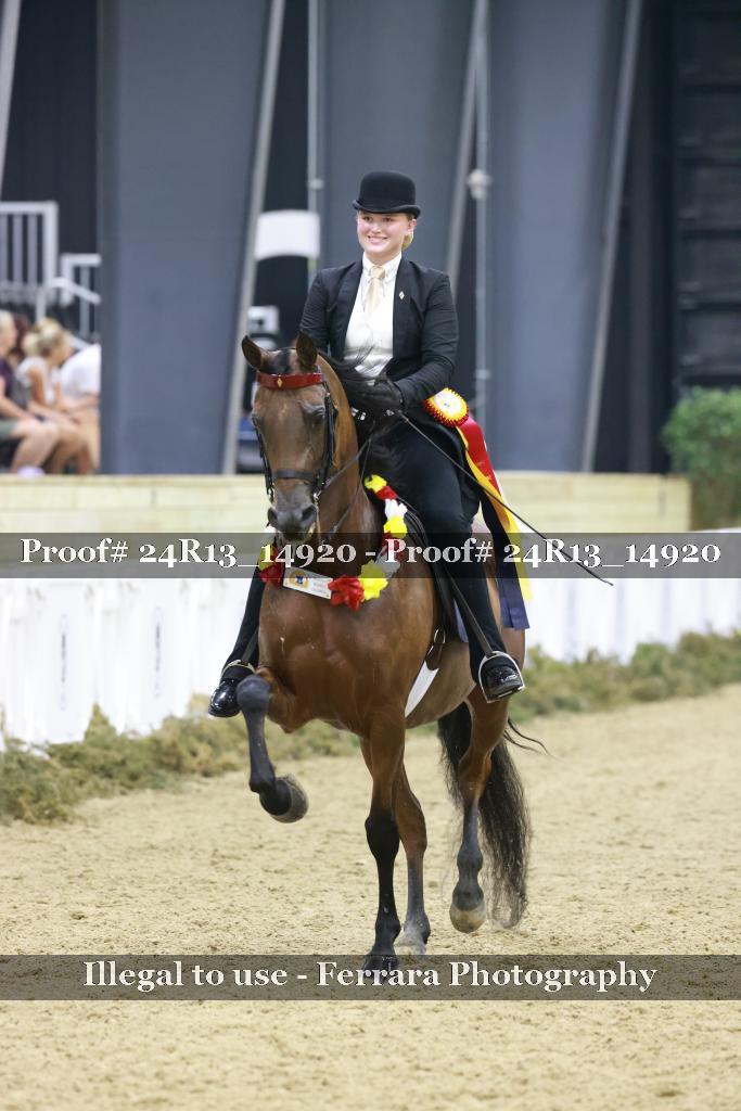 Proof Number 24R13_14920