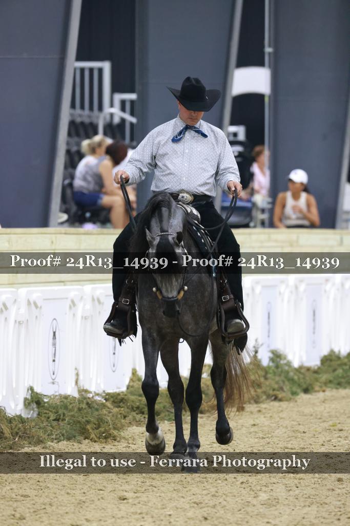 Proof Number 24R13_14939