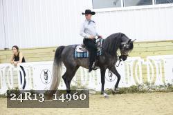 24R13_14960 thumbnail