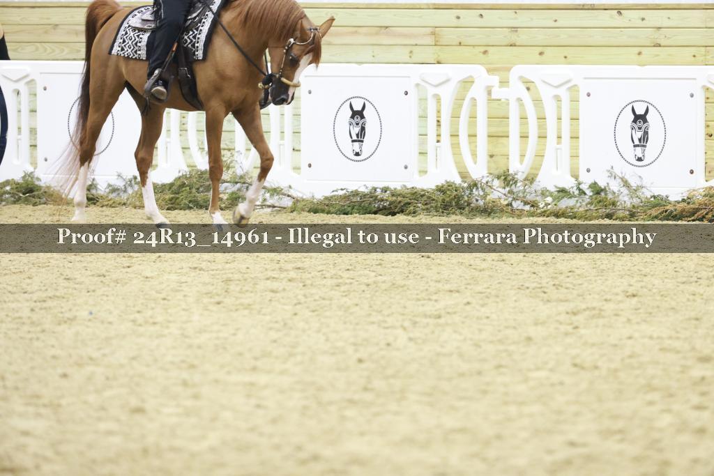 Proof Number 24R13_14961