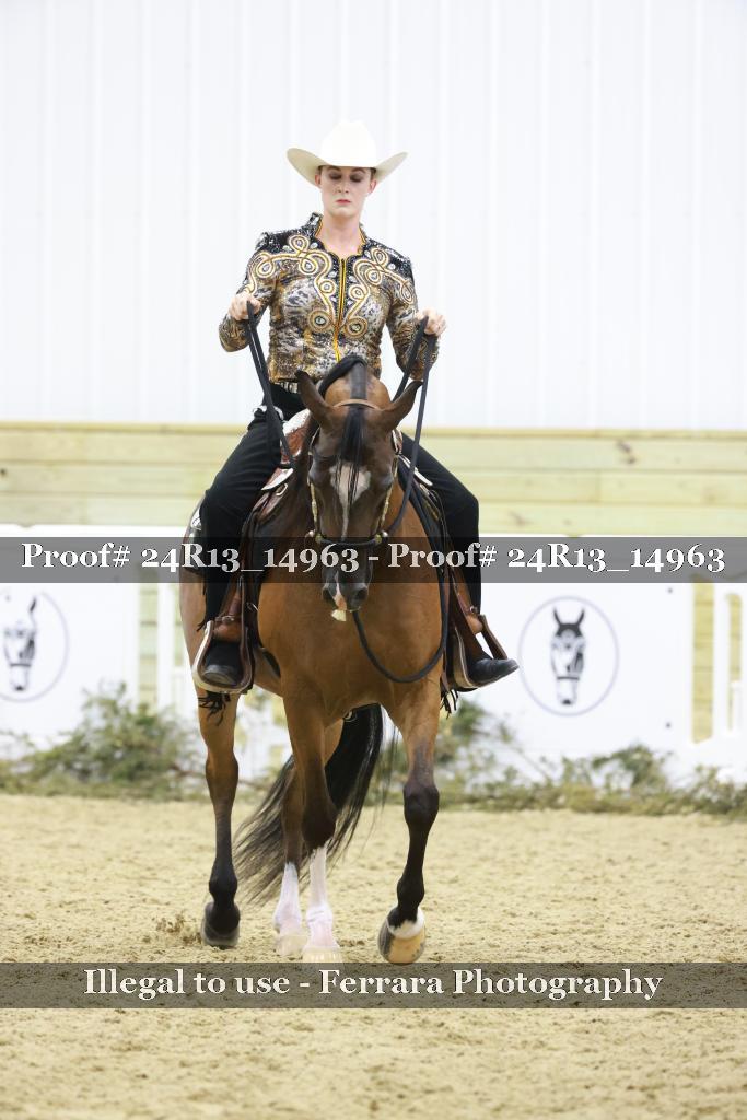 Proof Number 24R13_14963