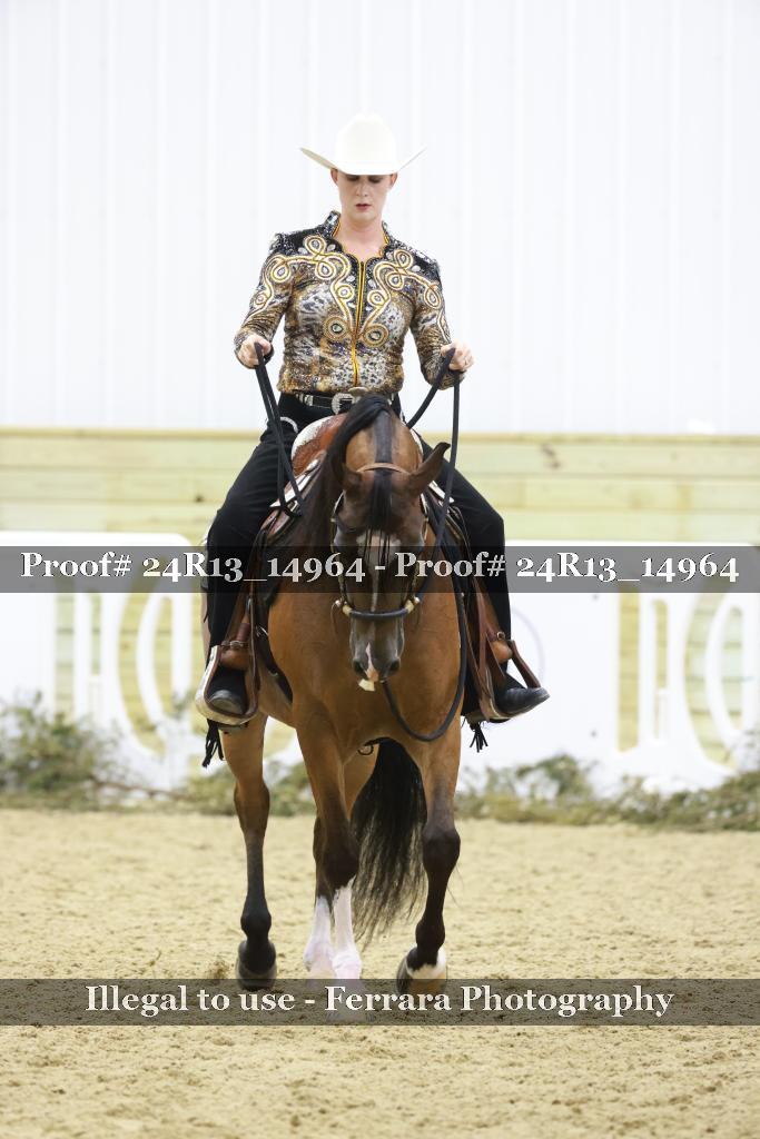Proof Number 24R13_14964