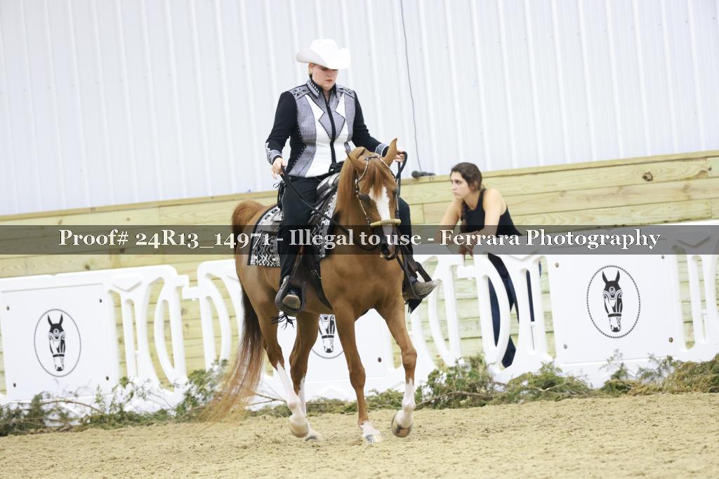 Proof Number 24R13_14971