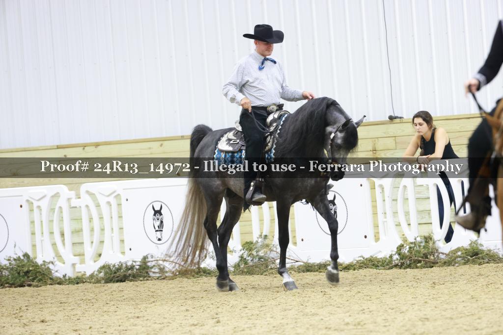 Proof Number 24R13_14972