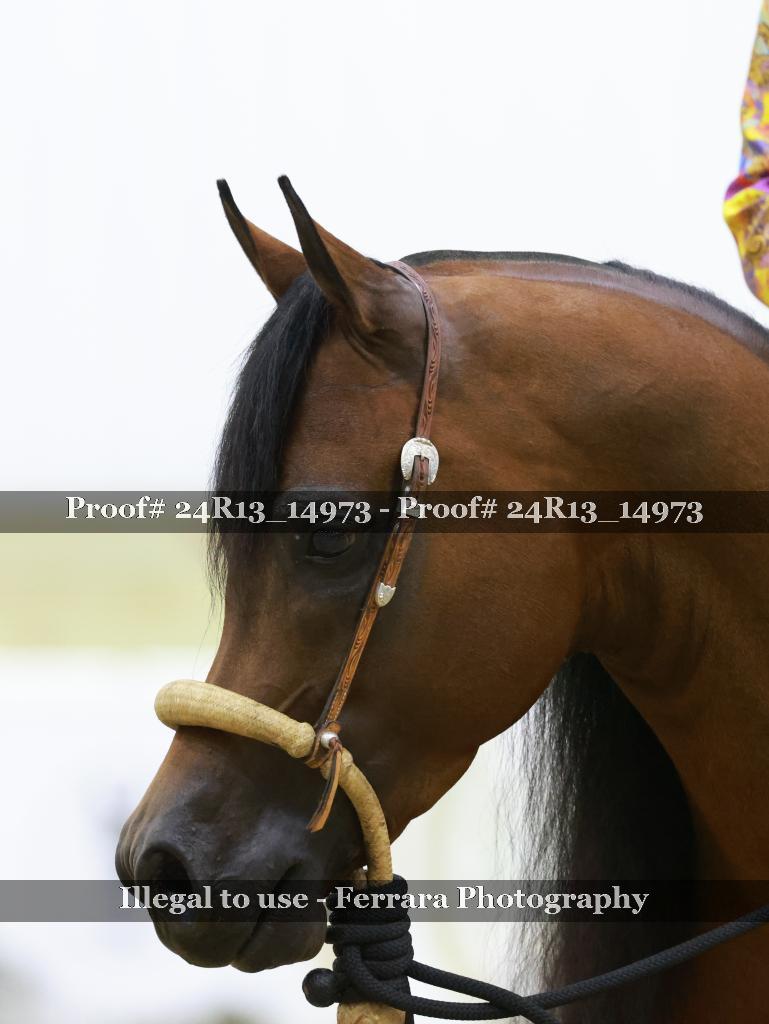 Proof Number 24R13_14973