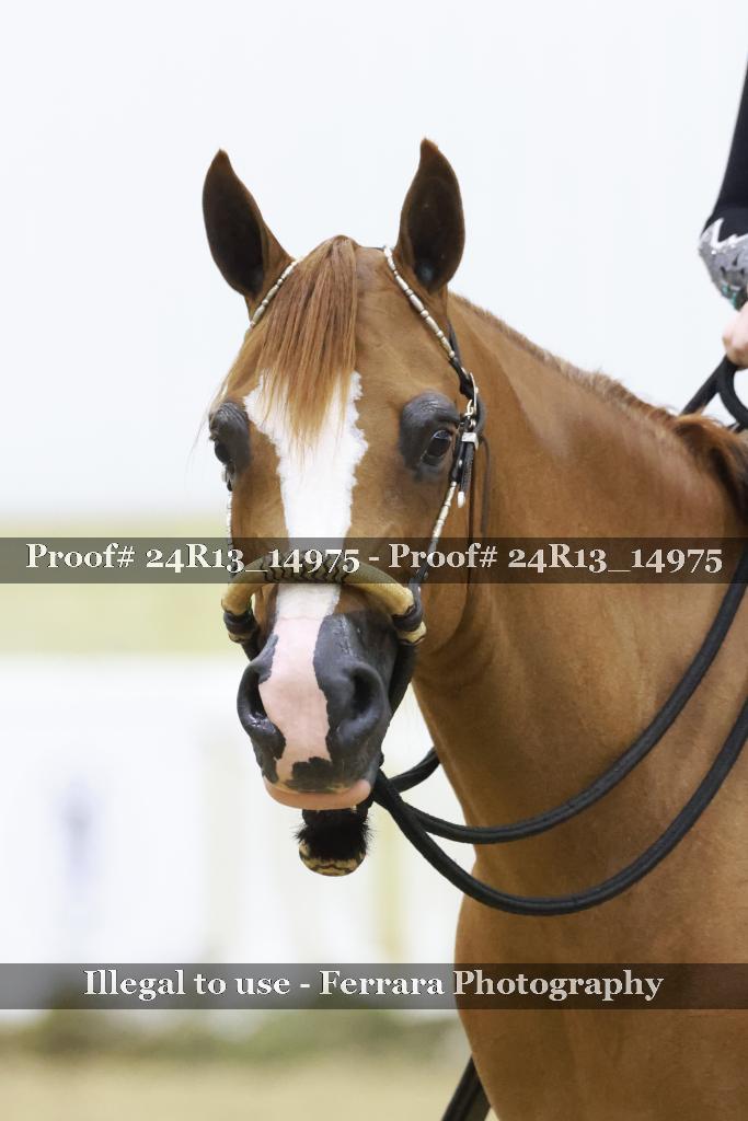 Proof Number 24R13_14975