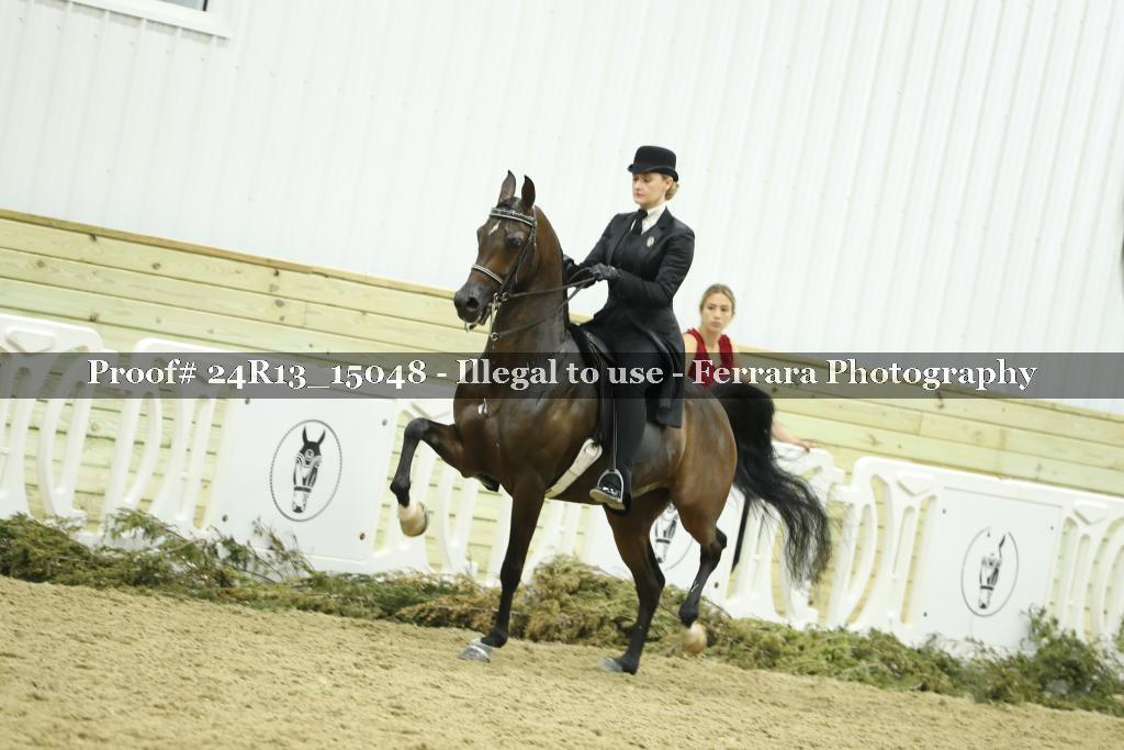 Proof Number 24R13_15048