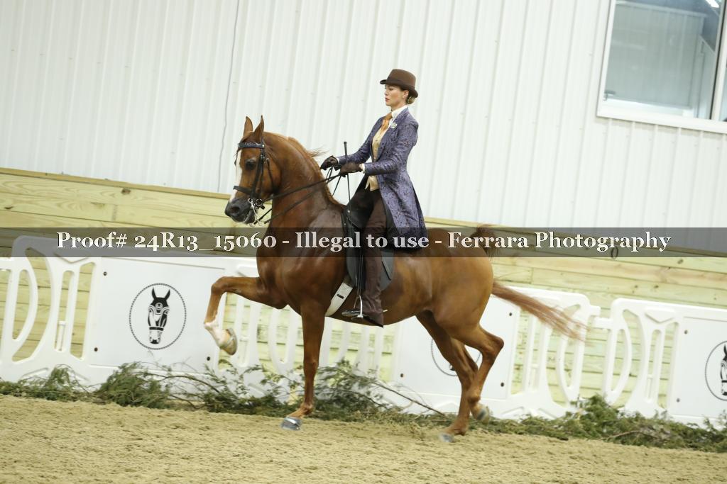 Proof Number 24R13_15060