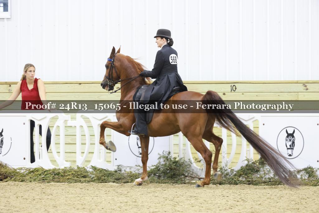 Proof Number 24R13_15065