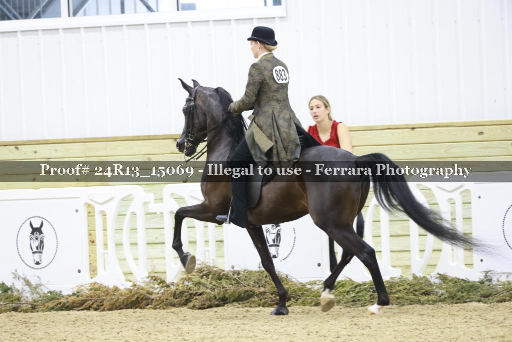 Proof Number 24R13_15069