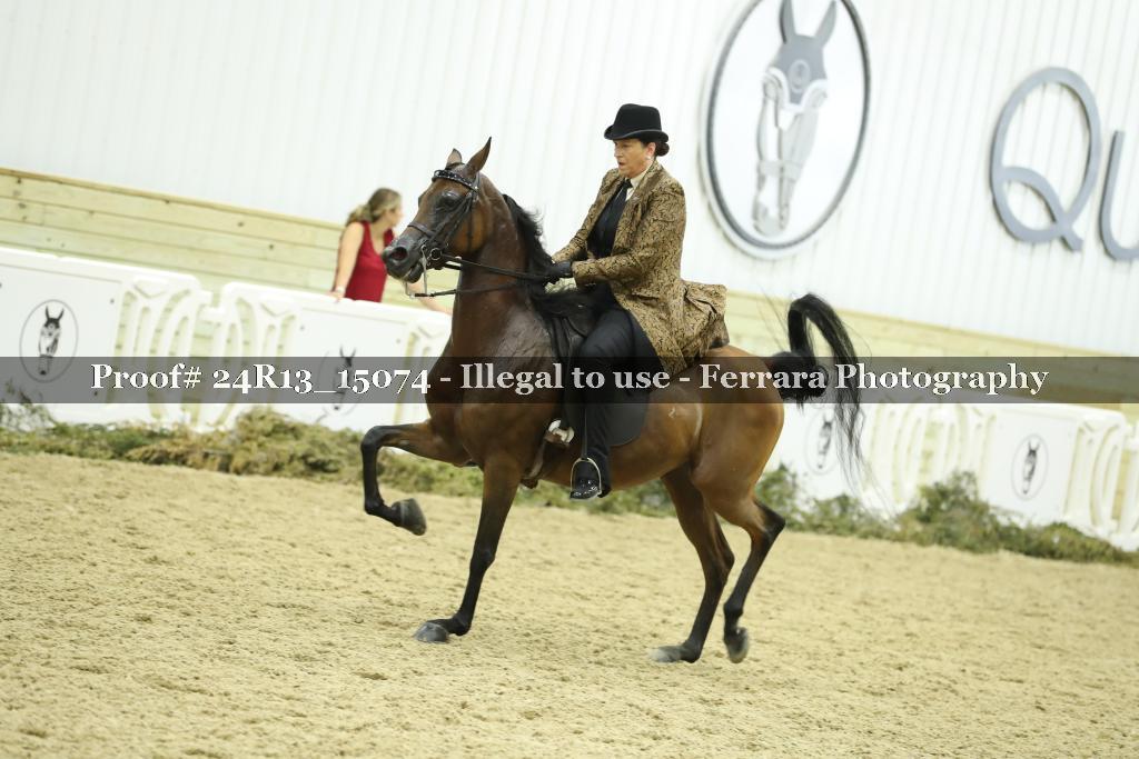 Proof Number 24R13_15074