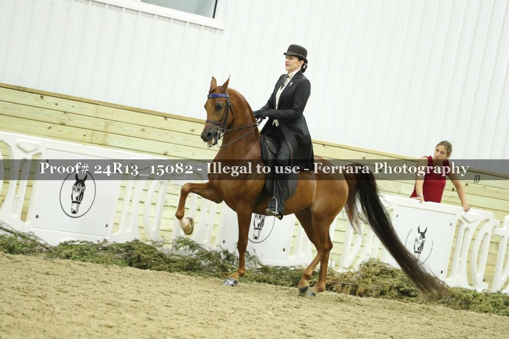 Proof Number 24R13_15082