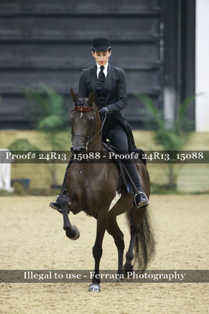 Proof Number 24R13_15088