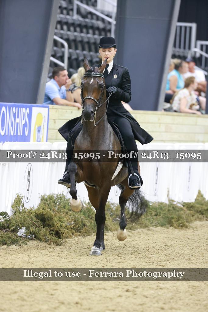 Proof Number 24R13_15095