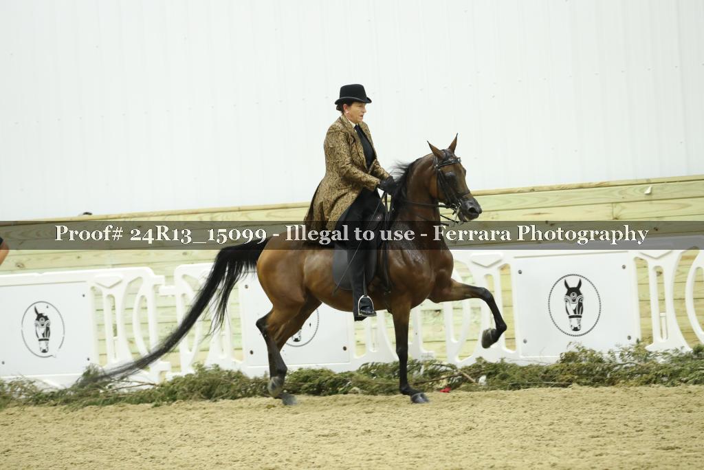 Proof Number 24R13_15099