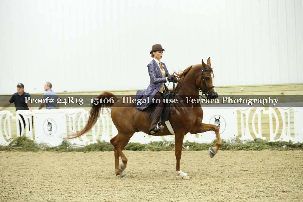 Proof Number 24R13_15106