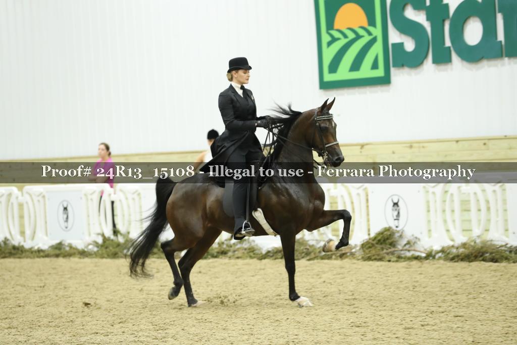 Proof Number 24R13_15108