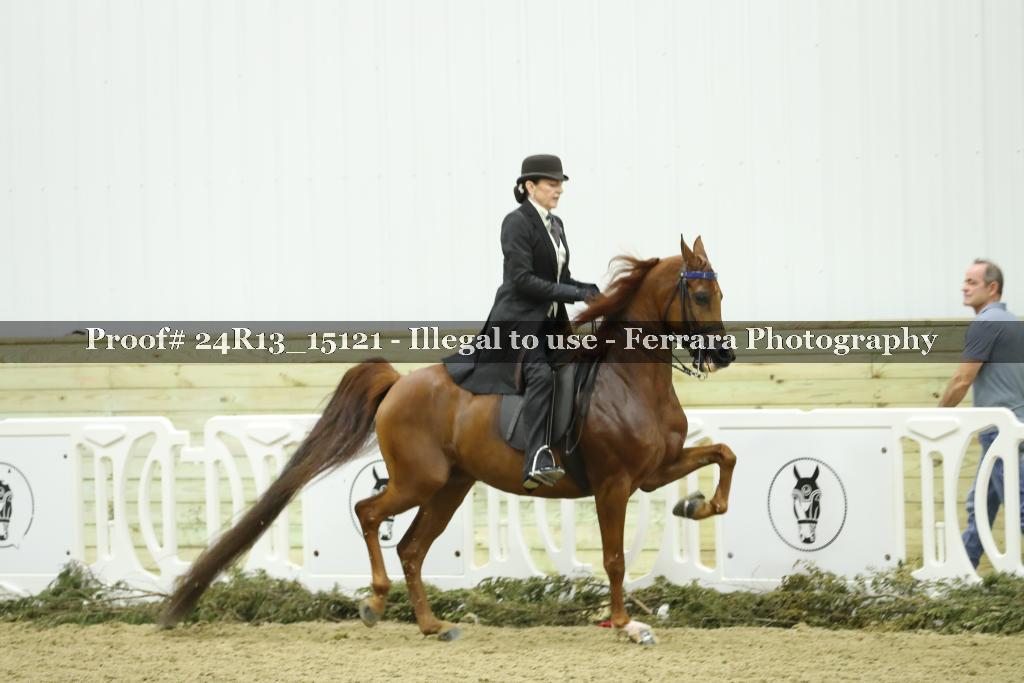 Proof Number 24R13_15121