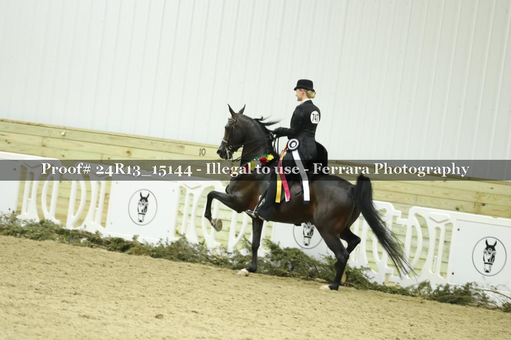 Proof Number 24R13_15144
