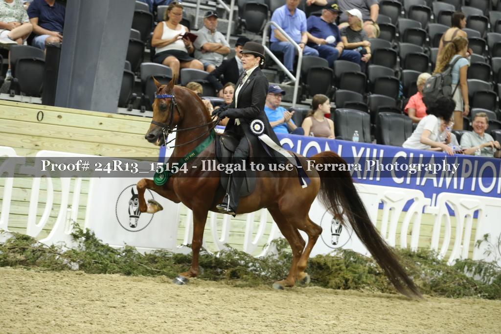 Proof Number 24R13_15154