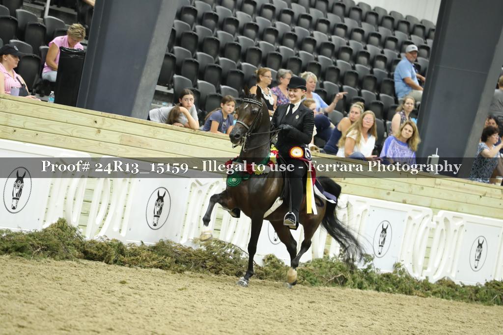 Proof Number 24R13_15159