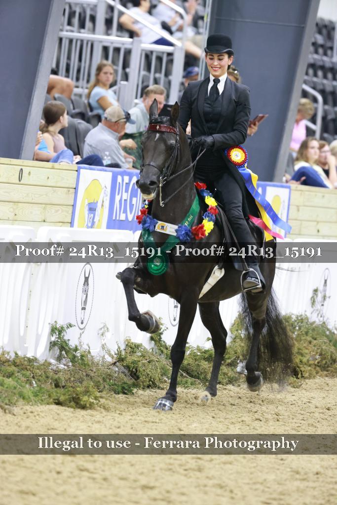 Proof Number 24R13_15191