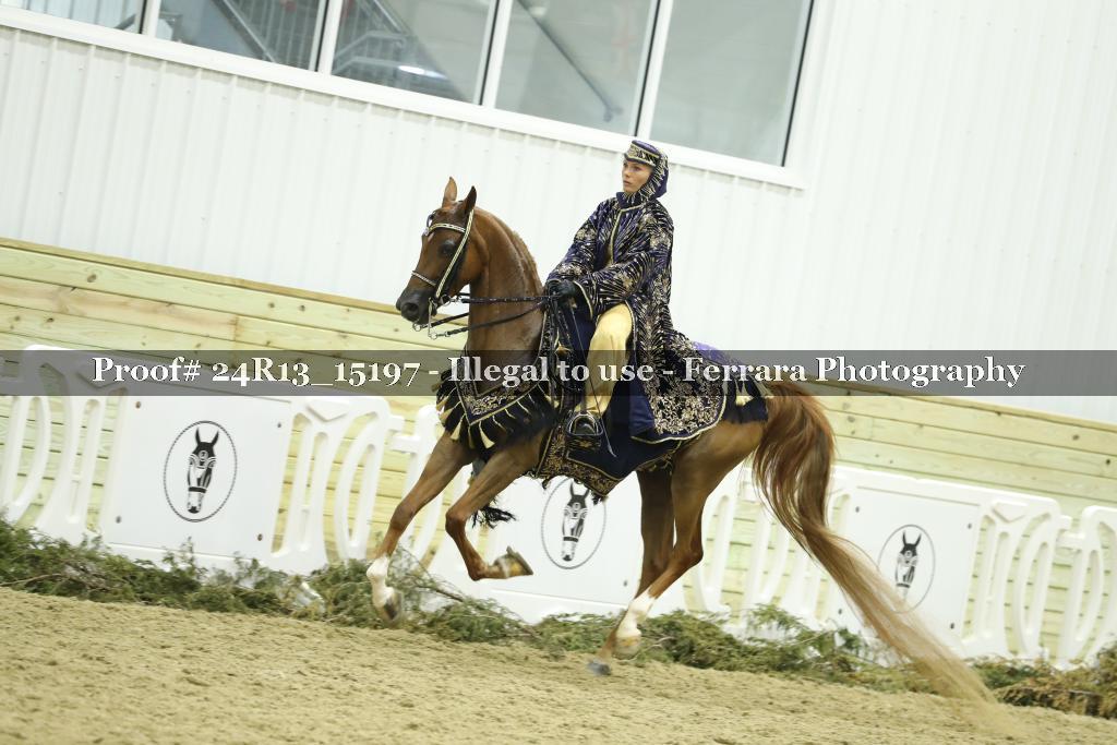 Proof Number 24R13_15197