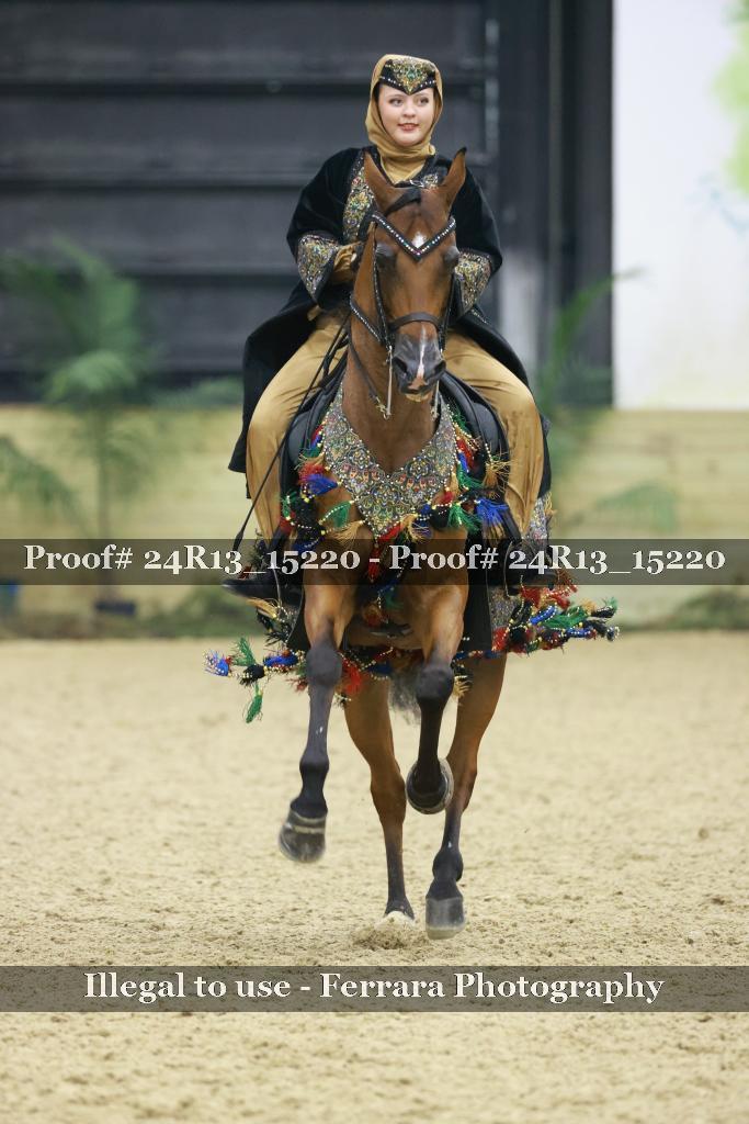 Proof Number 24R13_15220