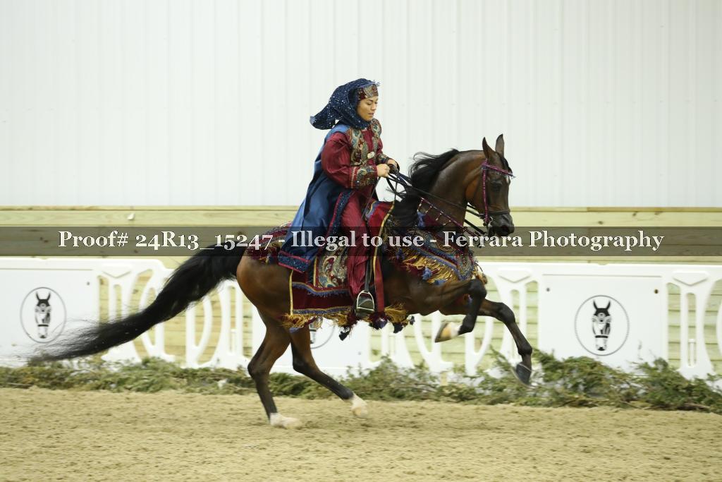 Proof Number 24R13_15247