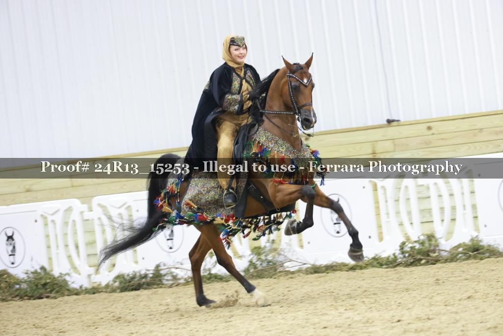 Proof Number 24R13_15253