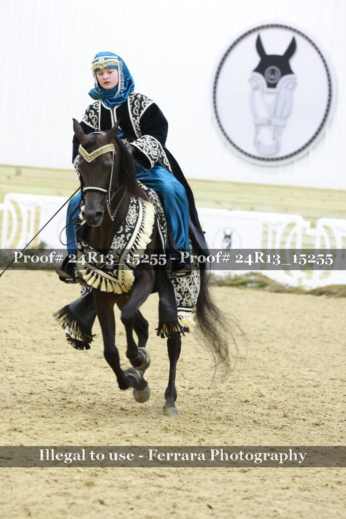 Proof Number 24R13_15255
