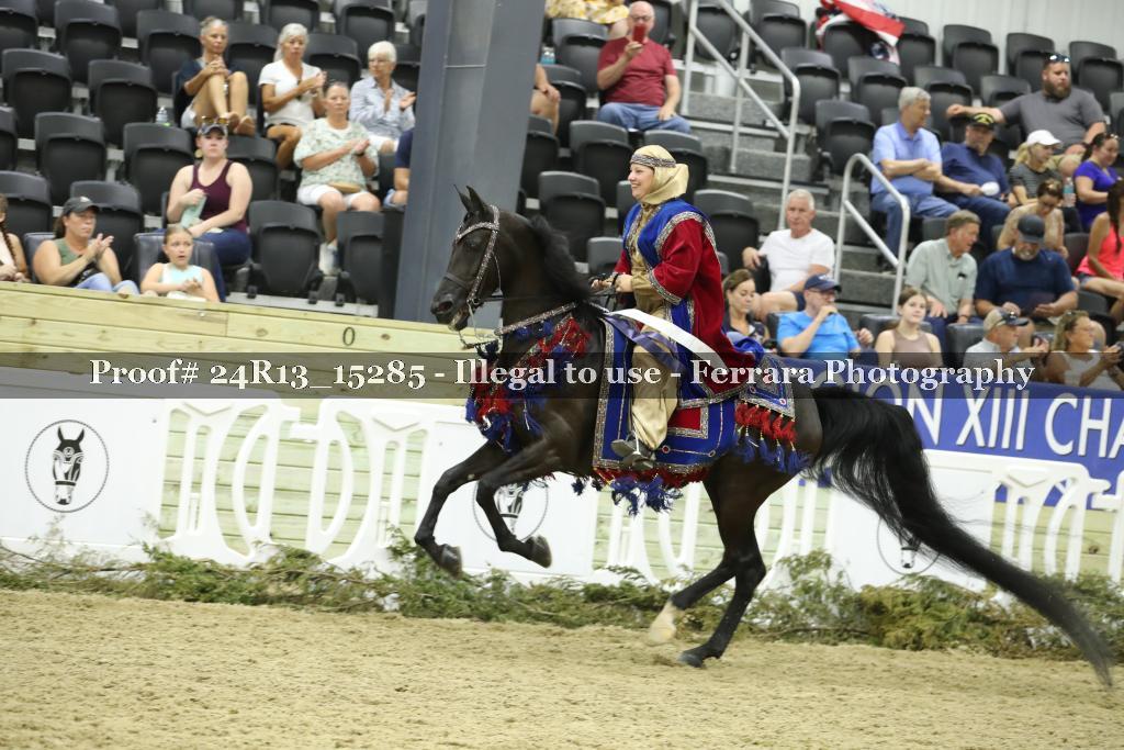 Proof Number 24R13_15285